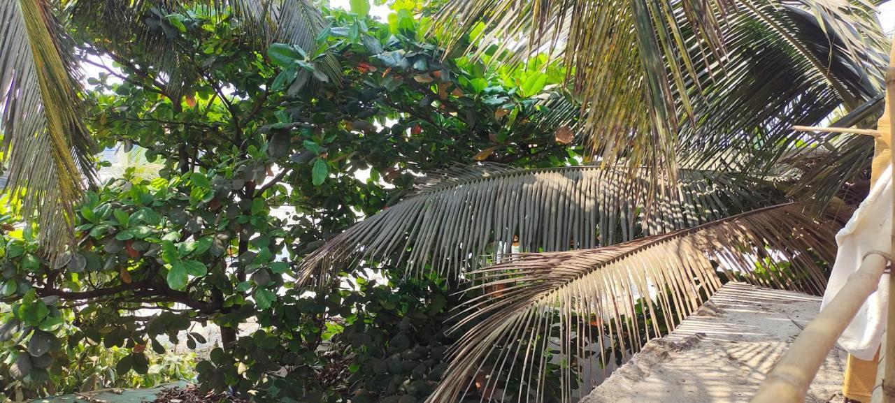 Est Hem Guesthouse Arambol Esterno foto